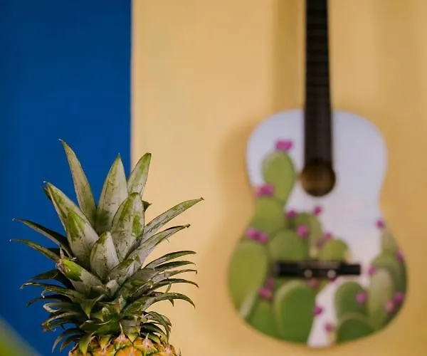 Frühstückspension "vainilla B&b" - Stylish Comfort In Playa del Carmen