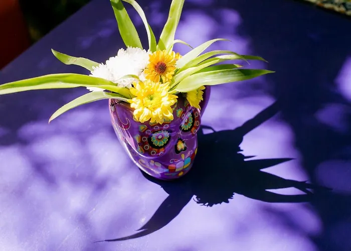 "vainilla B&b" - Stylish Comfort In Playa del Carmen